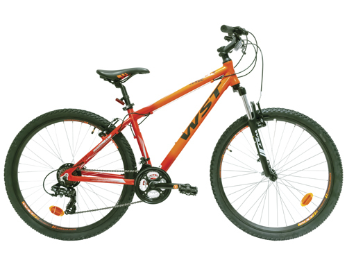 Bicicleta de montaña WST COSMO 27 21V 2020 VERDE
