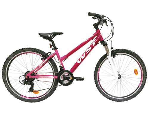 Bicicleta de montaña WST COSMO 26 21 2020